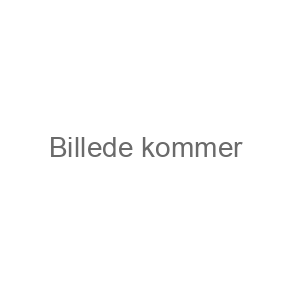 Skistøvler til damer